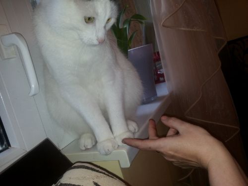 user posted image