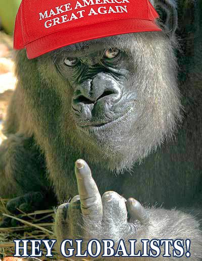  photo Trump gorilla_zpsfoixeehn.jpg