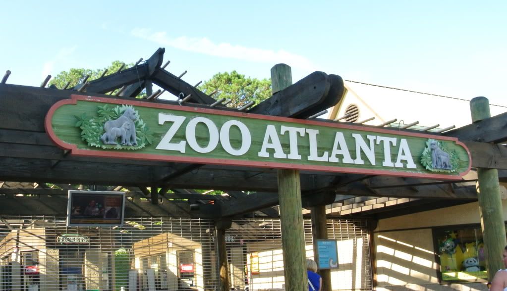 atlanta great places take kids atlanta great places take kids