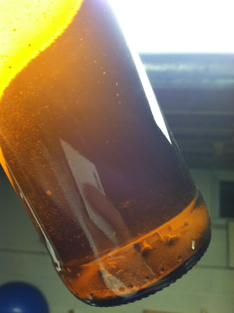 Floaties Formed After Bottling? Help. Community BeerAdvocate