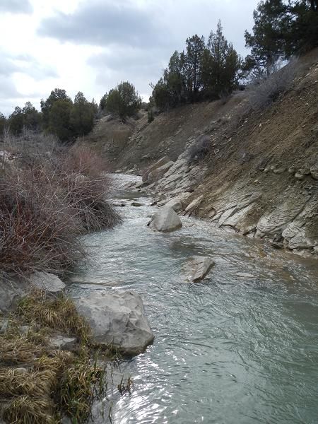 [Image: DSCN3859_zpsb25adba0.jpg]