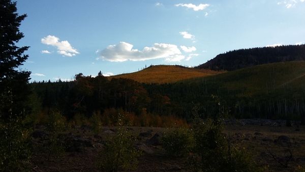 photo 20160910_183205 600x338_zpsuxl2eiw7.jpg