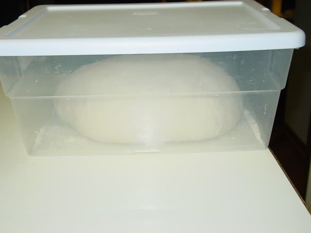 DSC04690.jpg