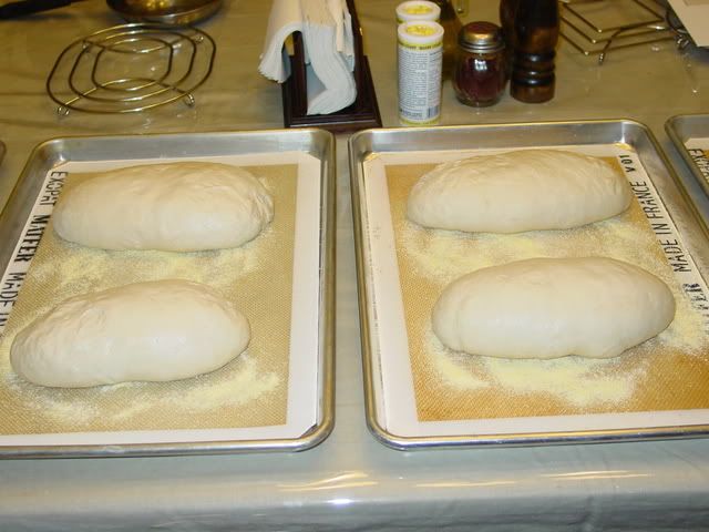 DSC04697.jpg