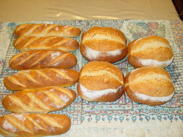 DSC04701.jpg