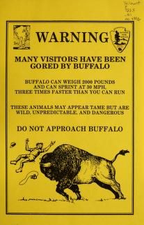 buffalo_zpsxchdfh5d.jpg