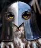 knight owl Avatar