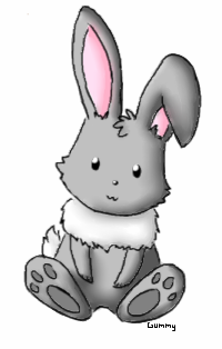 grey_bunny.png