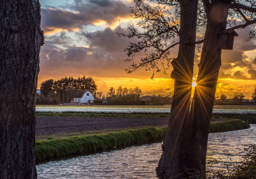 Fotografie