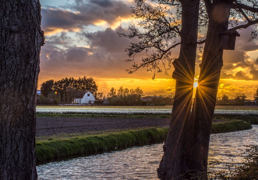 Fotografie