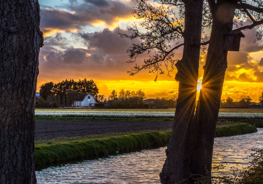 Fotografie