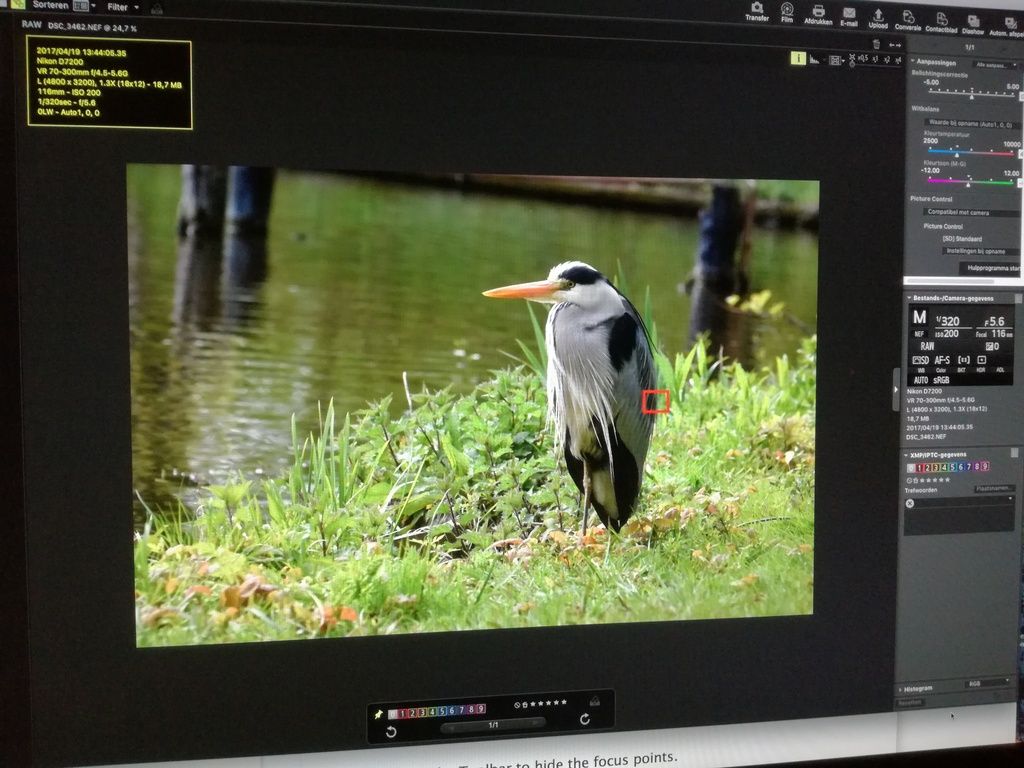 Fotografie