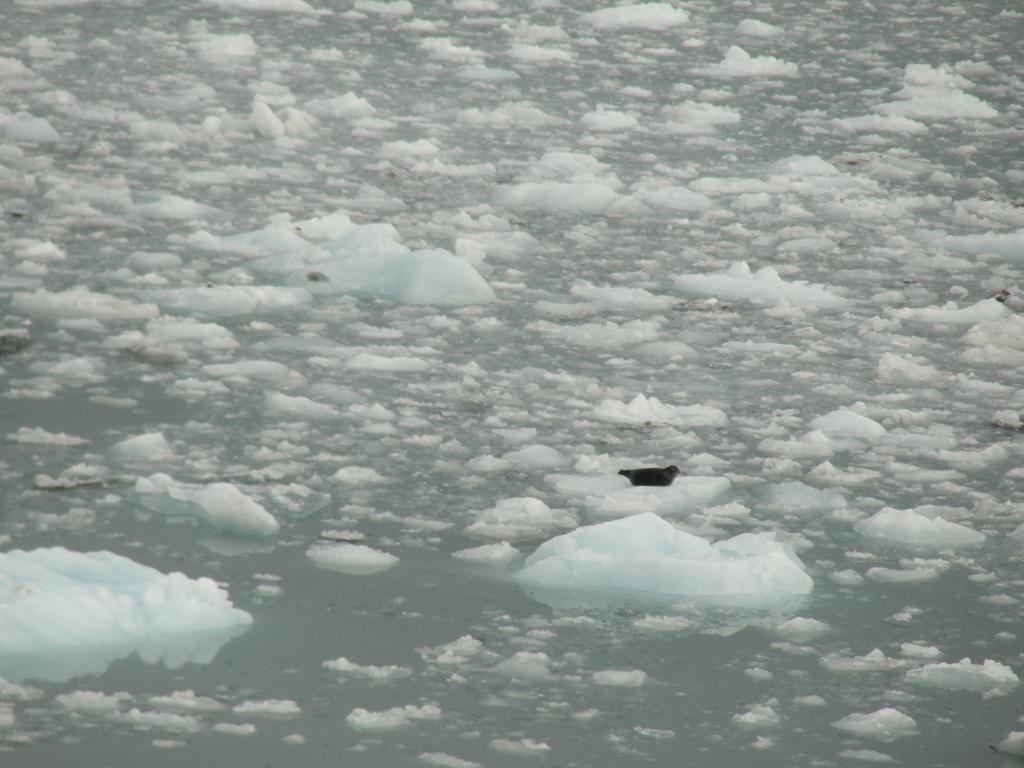 Véranda bioclimatique 47