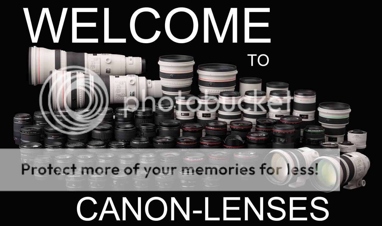 New Canon Lenses