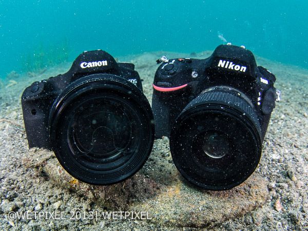 Nikon vs Canon 