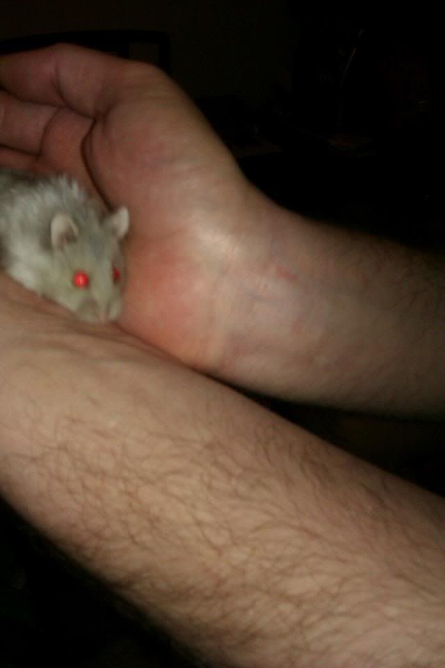 tinkerbell.jpg