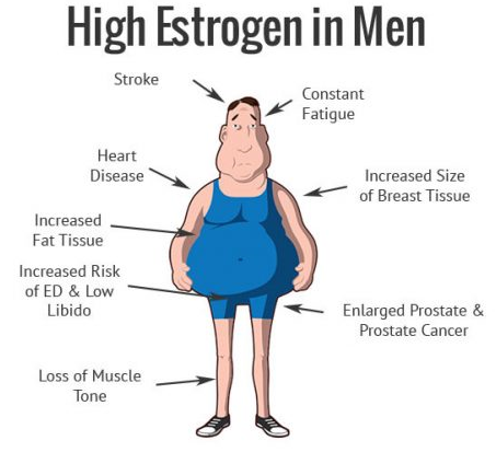  photo High Estrogen Men .png_zps9jwi792a.png